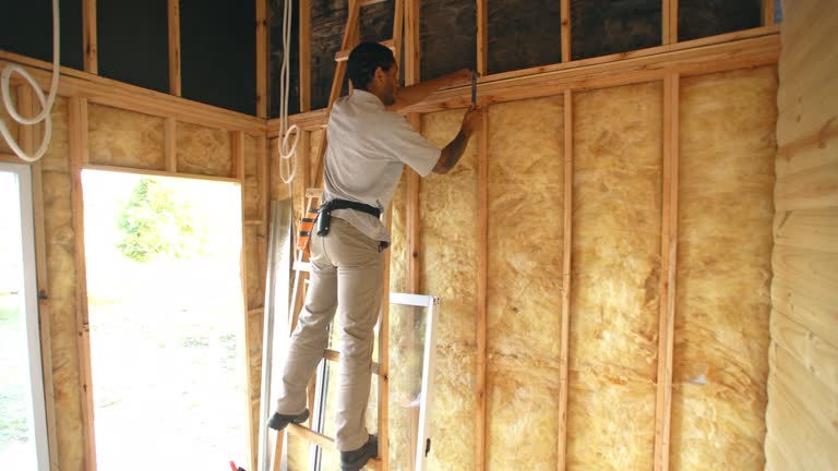 Best Attic Insulation Installation  in Ferry Pass, FL